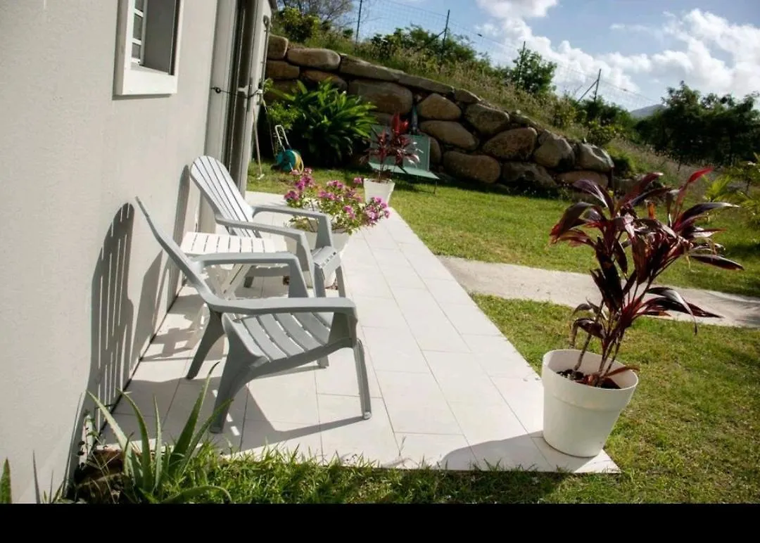 Apartment Superbe Appartement Cosy Neuf Grand Case